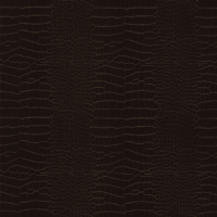 Coala Interior Film Cuero