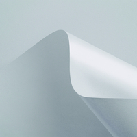 Curious Matter Digital