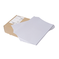 Etiqueta de papel Mate Master'in Access en Hojas (A4)