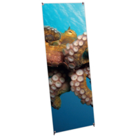 Coala System X-Banner Budget - Sistemas display