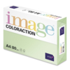 Image Coloraction (reprográfico)