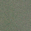 Coala Interior Film Brillante