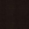Coala Interior Film Cuero