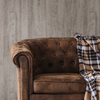 Coala Interior Film Madera