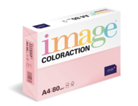 Image Coloraction (reprográfico)